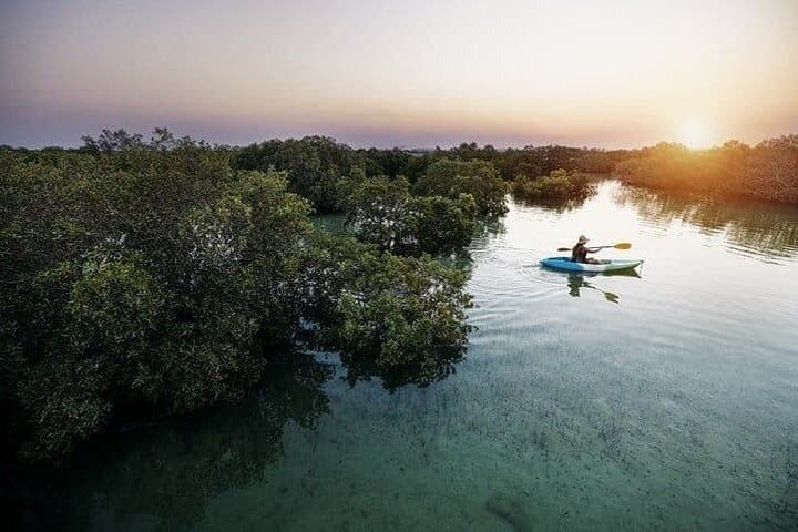 Al Thakira Mangrove Kayaking Adventure with Transfer — Paddle Qatar’s Purple Island