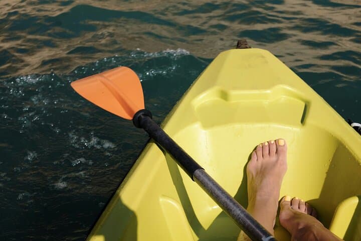 Al Thakira Mangrove Kayaking Adventure with Transfer — Paddle Qatar’s Purple Island photo 2