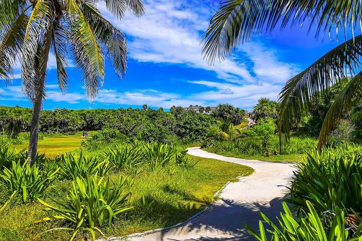 Self-Guided Tulum Ruins Walking Tour with Audio Guide — Independent Archaeological Walk photo 6