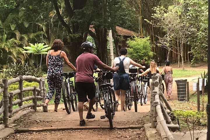 Ibirapuera Park Bike Tour: São Paulo Cultural & Lakeside Cycling Experience