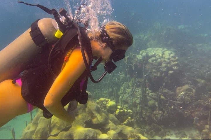Overnight Catamaran Snorkel & Scuba Adventure in the Rosario Islands photo 3