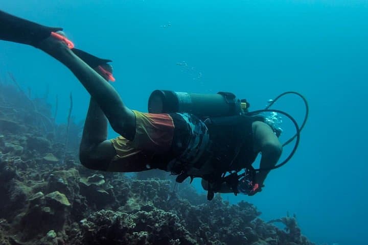 Overnight Catamaran Snorkel & Scuba Adventure in the Rosario Islands