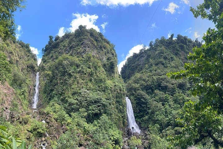 Roseau Hop-On Hop-Off: Scenic City & Rainforest Tour to Trafalgar Falls photo 6