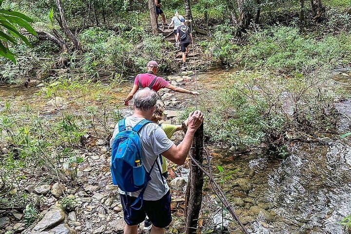 16-Day Borneo Adventure: Rainforest Treks, Wildlife Cruises & Manukan Island Escape photo 3