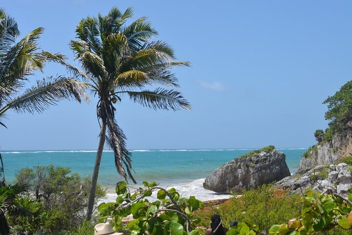 Tulum, Akumal & Cenote Tour: Swim with Turtles from Cancun photo 4