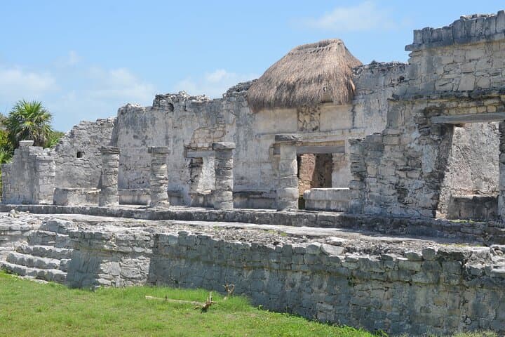 Tulum, Akumal & Cenote Tour: Swim with Turtles from Cancun photo 6