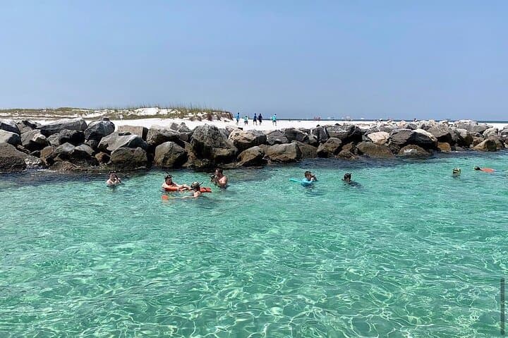 Shell Island Dolphin and Snorkel Boat Tour from Panama City Beach