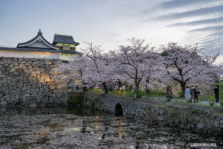Hakata Half-Day Sightseeing & Coffee Tour in Fukuoka photo 2