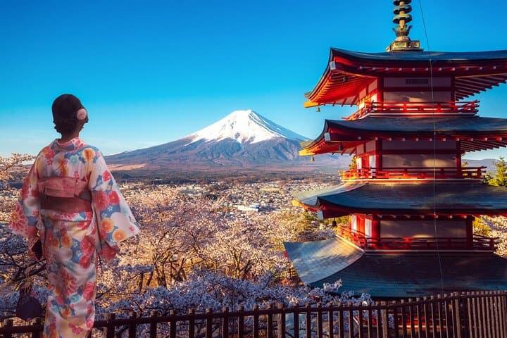 Private Mt. Fuji Day Charter: Kawaguchi or Hakone Custom Route from Tokyo photo 3