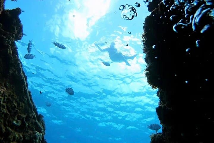 Barbados Catamaran Snorkeling: Turtles, Shipwrecks & West Coast Cruise photo 5