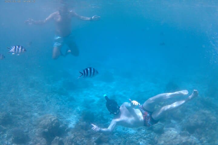 Full-Day Curieuse, St Pierre & Anse Lafarine Snorkel with Creole BBQ from Praslin photo 4