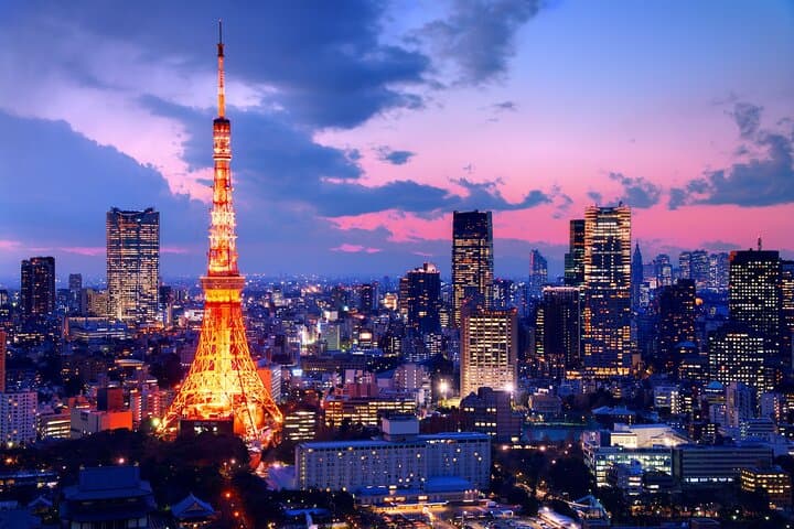 Tokyo Private Customized Day Tour — VIP Car Charter & Personalized Itinerary photo 3