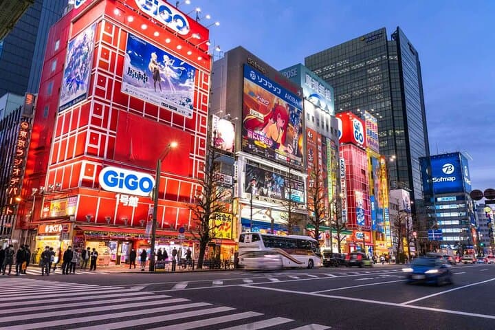 Tokyo Private Customized Day Tour — VIP Car Charter & Personalized Itinerary photo 4