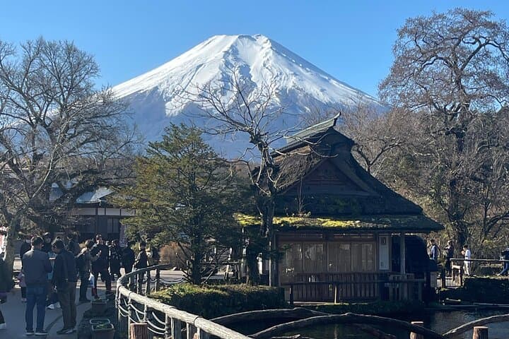 Mount Fuji Full-Day Private Tour: Kawaguchiko, Chureito Pagoda & Oshino Hakkai photo 6