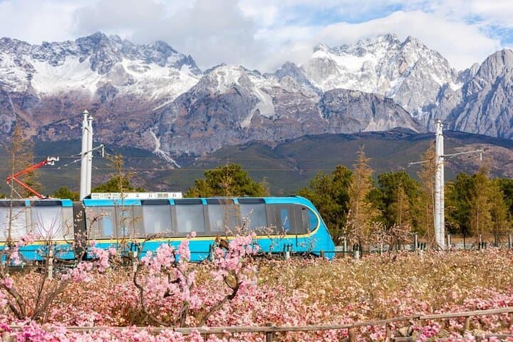 Jade Dragon Snow Mountain Scenic Train & Glacier Park Day Tour from Lijiang photo 1