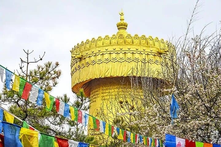 Shangri-La-Private-Day-Tour-from-Lijiang-Culture-Lakes-Meadows photo 4