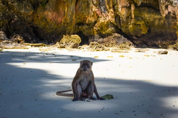 James Bond Island & Phang Nga Bay Speedboat Tour from Phuket photo 5