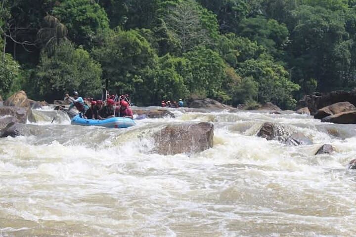 Kandy to Kithulgala Whitewater Rafting: Full-Day Kelani River Adventure