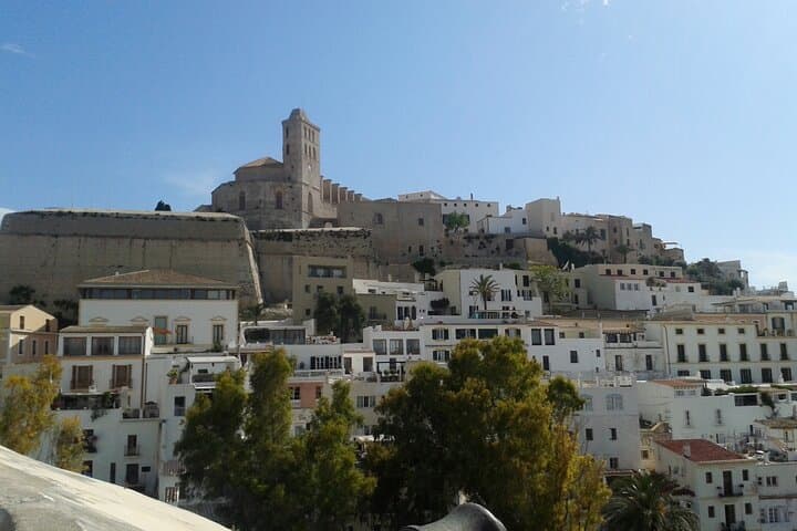 Ibiza Night Tour: Dalt Vila After Dark & Port Free Time photo 4