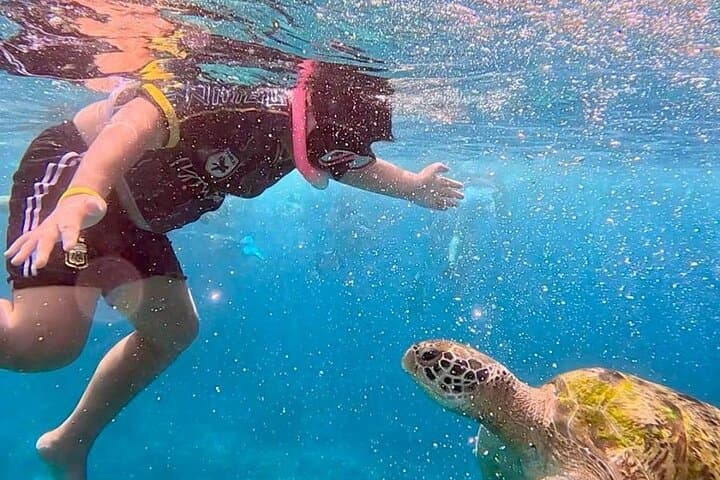 Similan Islands Early-Bird Full-Day Snorkel Tour from Phuket photo 6