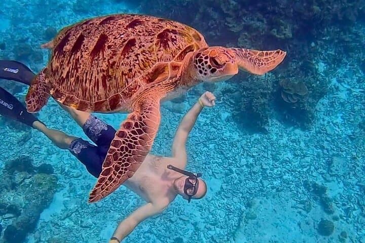 Similan Islands Early-Bird Full-Day Snorkel Tour from Phuket