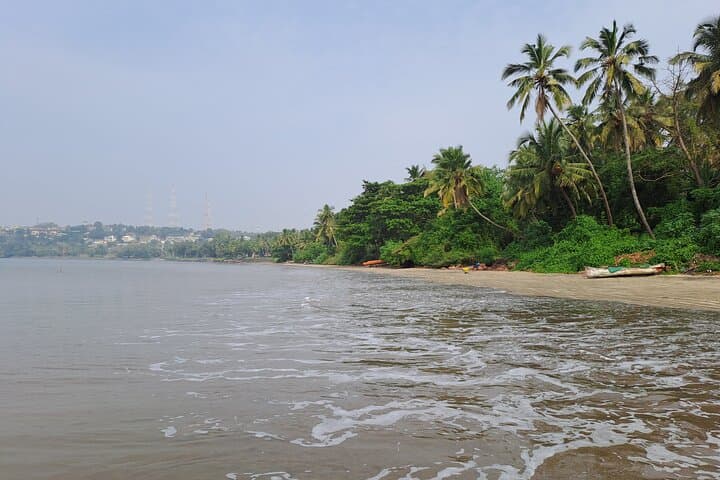 Candolim Beach & Beer Tour — Goa’s Best Shacks and Shorelines photo 4