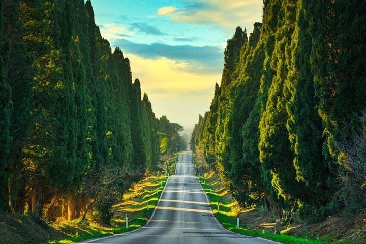Florence to Bolgheri Private Minivan Tour — Volterra, Cypress Road & Wine Tasting photo 2