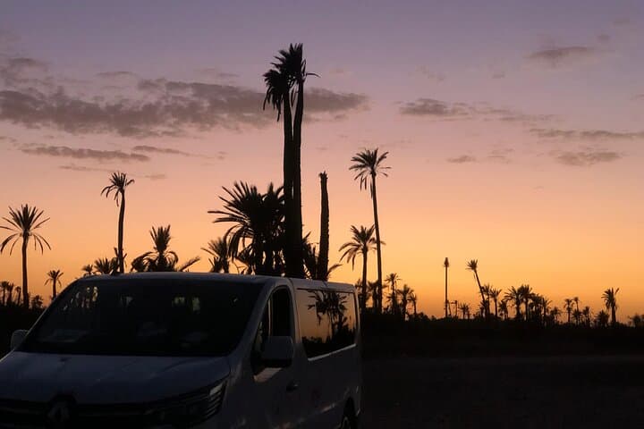 Camel Ride Through Marrakech's Palm Groves — Half-Day Cultural Safari photo 2