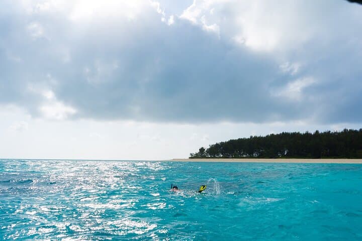 Full-Day Snorkel to Mnemba & Turtle Swim with Kendwa Sunset