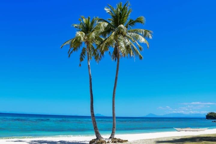 3-Day Malapascua Island Getaway: Snorkel, Beaches & Thresher Sharks photo 4