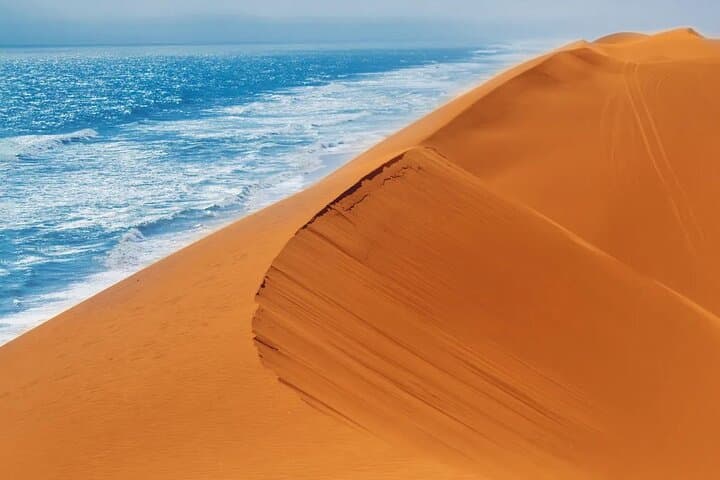 Doha Desert Safari Under the Stars — Dune Bashing, Camel Rides & Sandboarding photo 3