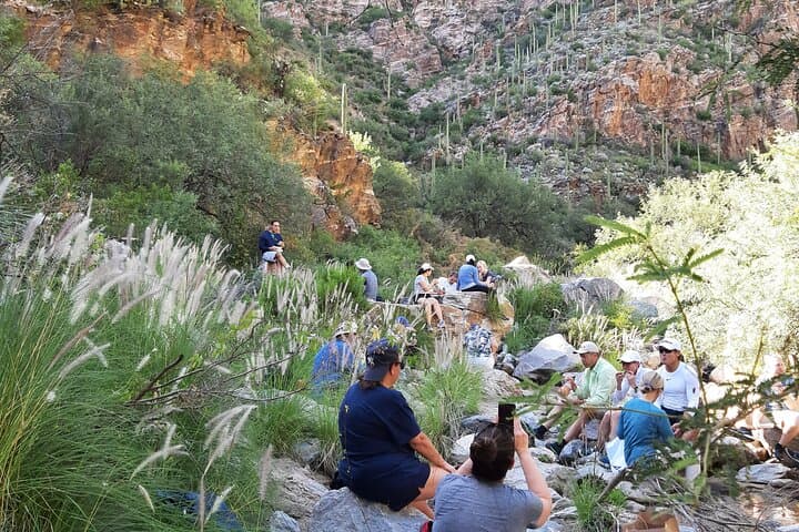 Hiking Ventana Canyon and Sabino Canyon: Seven Falls, Phone Line & Maiden Pools