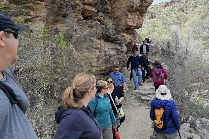 Hiking Ventana Canyon and Sabino Canyon: Seven Falls, Phone Line & Maiden Pools photo 4