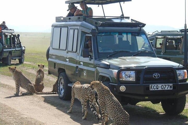 4-Day Masai Mara & Lake Nakuru Jeep Camping Safari: Big Five, Flamingos & Maasai Culture photo 2