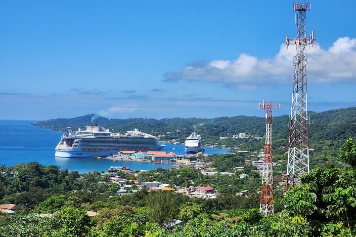 Roatán Island Eco Tour — Monkeys, Sloths & Local Flavors photo 6