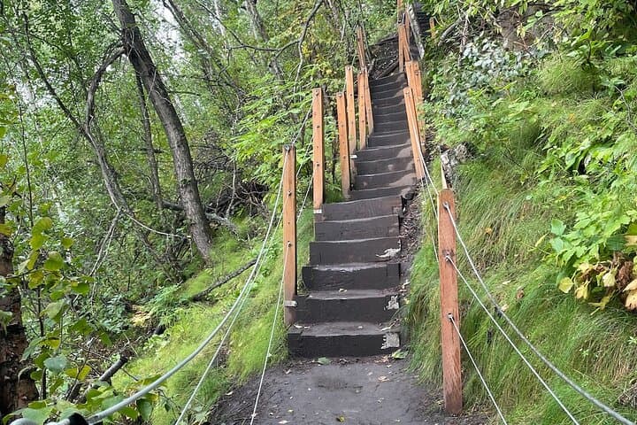 Bodenburg Butte Hike: Palmer Glacier Views & Local History photo 6