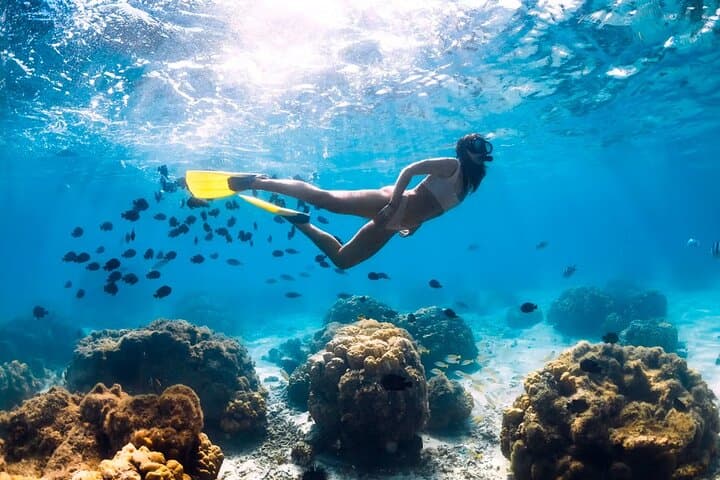 Explore Playa del Amor: Speedboat Snorkeling to Marietas' Hidden Beach photo 6