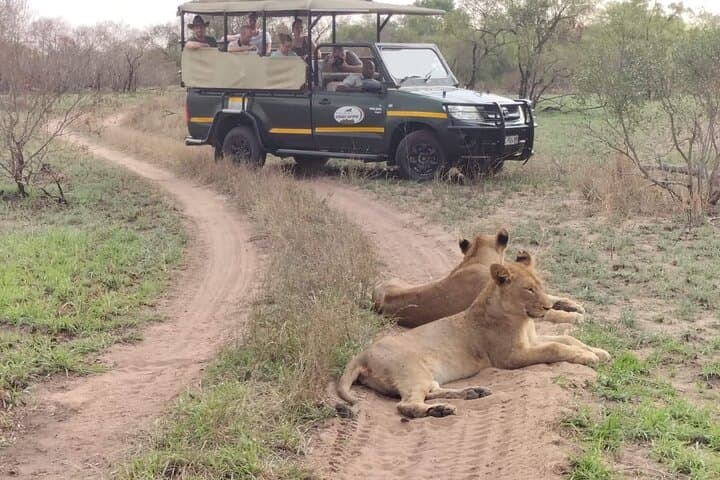 Kruger National Park Guided Safari and Volunteer Experience (6-Day)