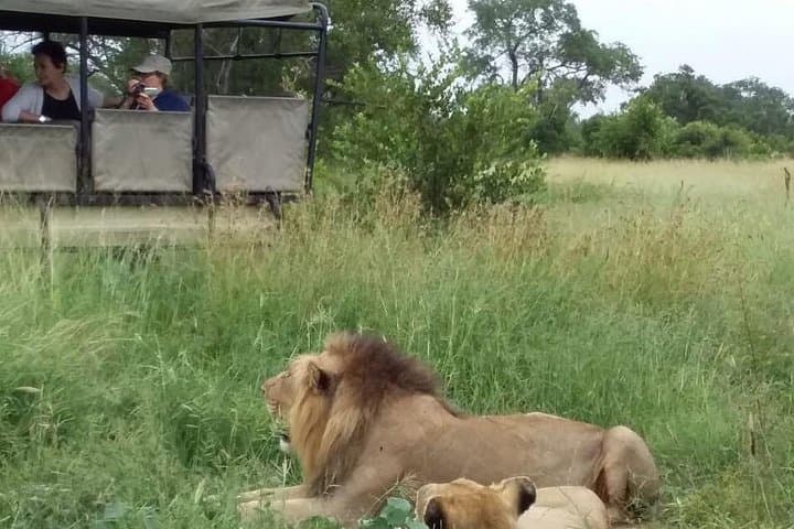 5-Day Kruger & Manyeleti Safari: Big Five, Panorama Route & Village Lodge Experience photo 2