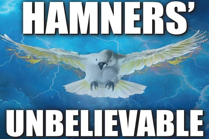 Hamners' Unbelievable Variety Show: Branson's High‑Energy Illusion & Variety Experience photo 3
