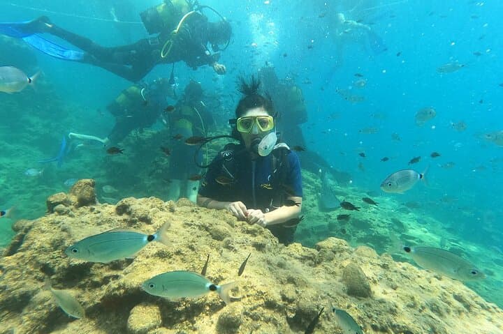 Alanya Mediterranean Scuba Diving: Two-Dive Beginner Tour with Lunch & Transfer photo 6