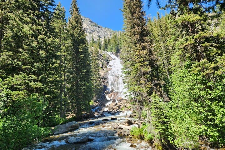 Grand Teton Private Sunrise Tour from Jackson — Jenny Lake, Mormon Row & Wildlife photo 4