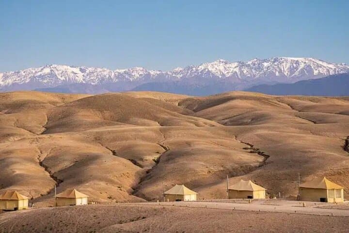 Agafay Desert Sunset Camel Ride and Berber Dinner from Marrakech photo 4