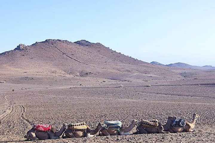 Agafay Desert Sunset Camel Ride and Berber Dinner from Marrakech photo 3