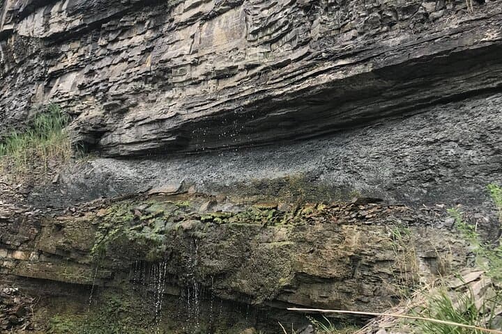 Artpark Gorge Hike and Niagara Escarpment Climbing Scramble (Lewiston, NY) photo 3