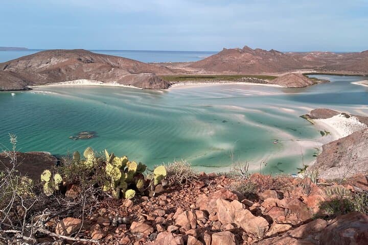 Hike Mirador Balandra: 4.8 km Coastal Overlook from La Paz photo 4