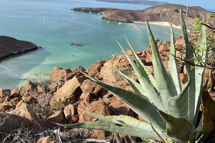 Hike Mirador Balandra: 4.8 km Coastal Overlook from La Paz photo 3