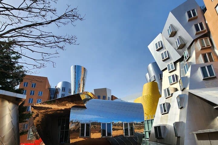 MIT and Harvard Walking Tour: Iconic Campus Sights & City Secrets photo 6