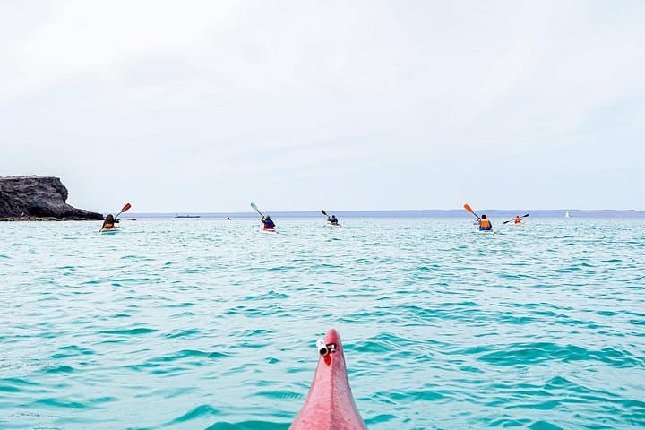 Sea Kayak Tour & Marine Safari to Playa Escondida and Balandra Viewpoint photo 4
