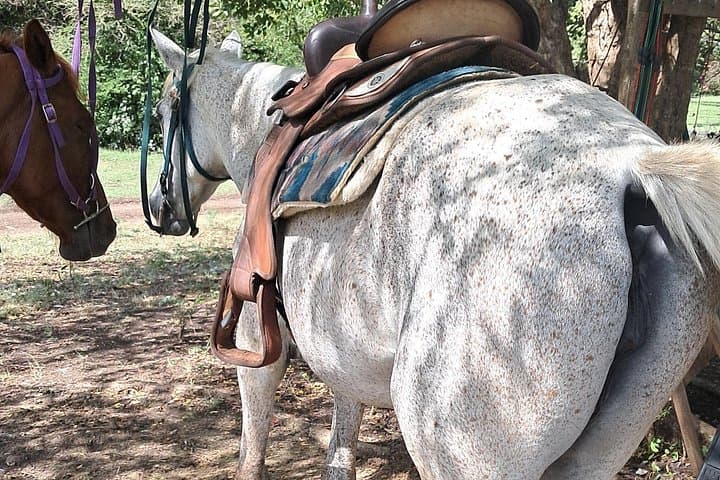 Pigeon Island Horseback Ride and Hike with Lunch in St. Lucia photo 2
